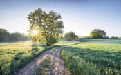 Komar A New Day in Paradise Vlies Fototapete 400x250cm 4 bahnen | Yourdecoration.de