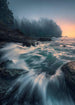 Komar Cry of the Sea Vlies Fototapete 200x280cm 4 bahnen | Yourdecoration.de