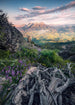 Komar Flowering Tales Vlies Fototapete 200x280cm 4 bahnen | Yourdecoration.de