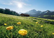 Komar AlpenglÃ¼ck Vlies Fototapete 400x280cm 8 bahnen | Yourdecoration.de