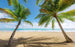 Komar Caribbean Days II Vlies Fototapete 450x280cm 9 bahnen | Yourdecoration.de