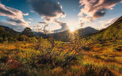 Komar Norwegische Herbstwelten Vlies Fototapete 450x280cm 9 bahnen | Yourdecoration.de