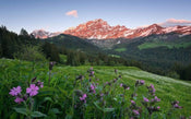 Komar Picturesque Switzerland Vlies Fototapete 450x280cm 9 bahnen | Yourdecoration.de