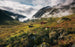 Komar Pure Norway Vlies Fototapete 450x280cm 9 bahnen | Yourdecoration.de