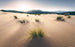 Komar Vivid Dunes Vlies Fototapete 450x280cm 9 bahnen | Yourdecoration.de