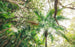 Komar Touch the Jungle Vlies Fototapete 450x280cm 9 bahnen | Yourdecoration.de