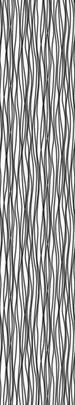 Komar Zebra Fototapete 50x270cm 1 bahn | Yourdecoration.de