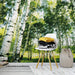 Wizard+Genius Sunshine Forest Fototapete 366x254cm 8 bahnen Sfeer | Yourdecoration.de