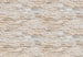 Wizard+Genius Stone Wall Fototapete 366x254cm 8 bahnen | Yourdecoration.de